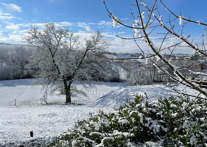 Moderne Ab Maerz 2026 Mit Saunabereich Apartament Buchet